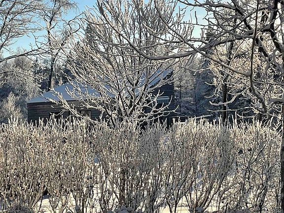 3rd image of 1069 Bert White Road