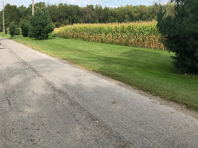 You may see farm crops depending on the year and definitely wildlife!