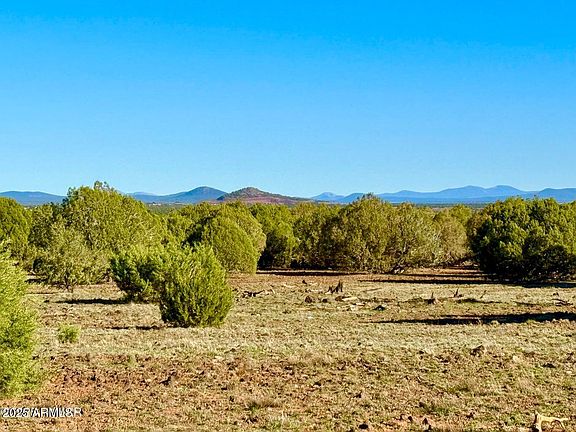 4th image of TBD Mustang Ln Lots F & H 5.5 Acre -- #-