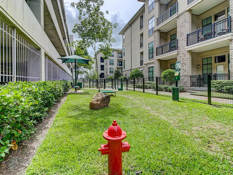 Arlo Westchase — Photo 30