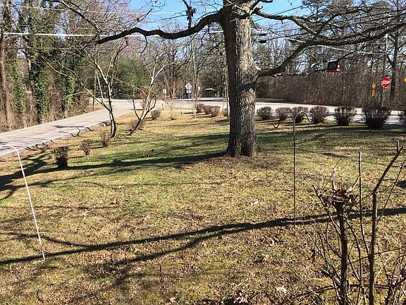 Front yard