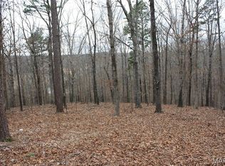 0 Carter Route Y #154, Fremont, MO 63941