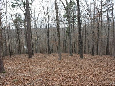 0 Carter Route Y #154, Fremont, MO, 63941