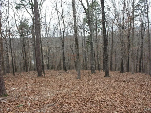 0 Carter Route Y #154, Fremont, MO 63941