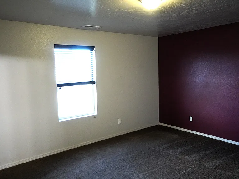 10686 Ice Springs St — Photo 9
