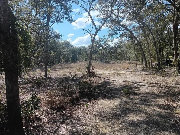 8190 NE 118th Ter #70, Bronson, FL 32621