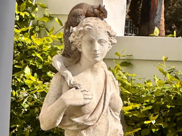 204 E Liberty St, Savannah, GA 31401