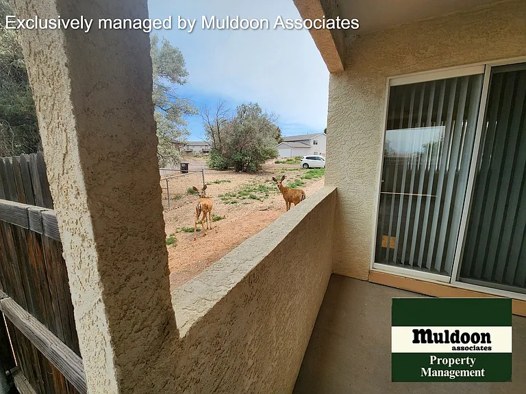 955 S Kyle Ln — Photo 15