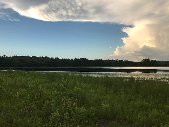 5th image of 124 Morris Lake Ln