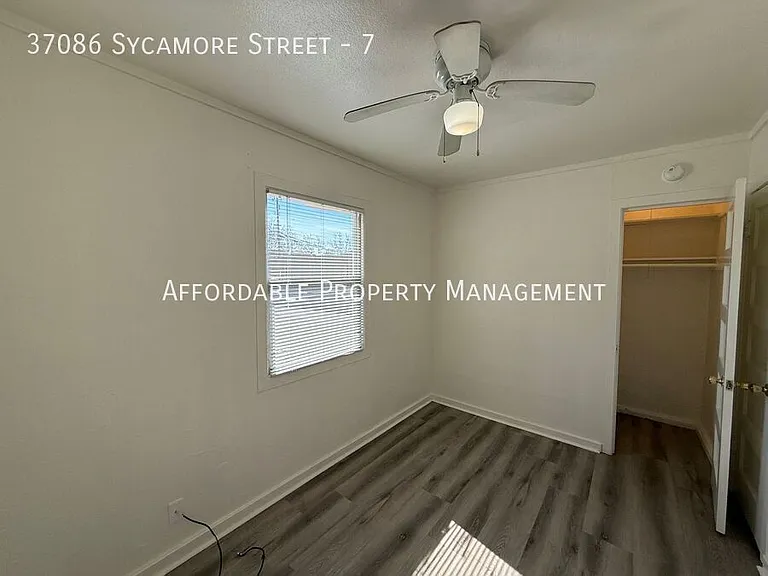 37086 Sycamore St #7 — Photo 8