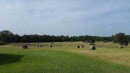 2nd image of 13950 County Road 227