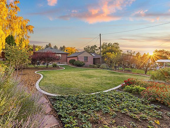 Backyard (looking South)