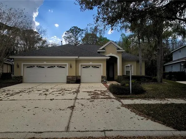 6041 Catlin Dr, Tampa, FL 33647