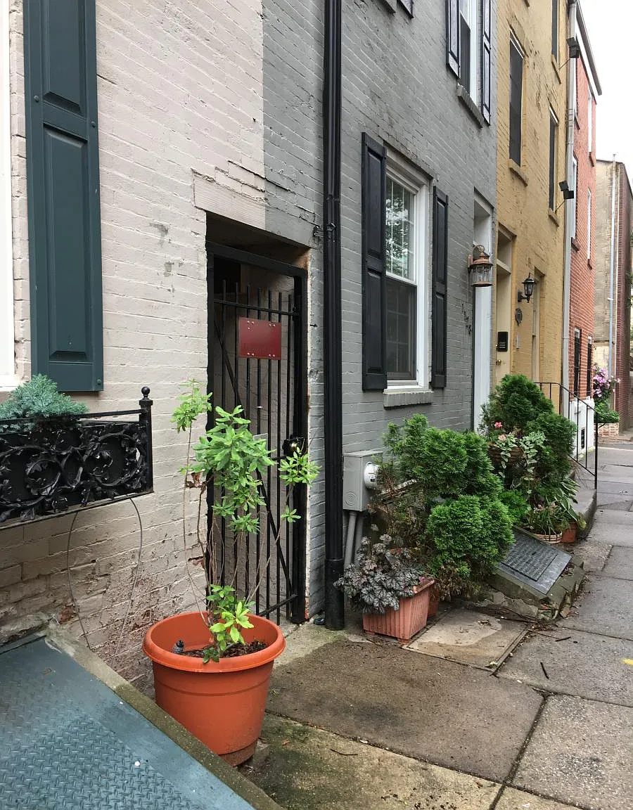 1126 Rodman St — Photo 3