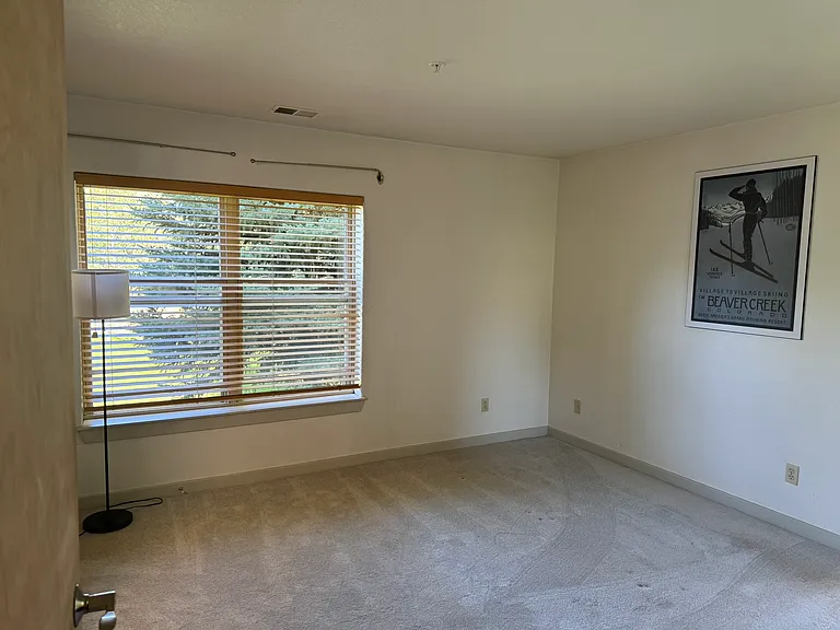 River Pines Ct — Photo 8