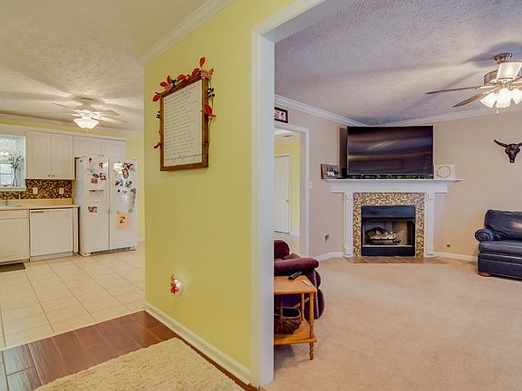 4th image of 1184 Willow Springs Dr