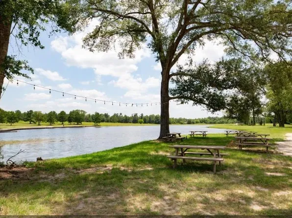 11830 Moss Grove Ct, Willis, TX 77378