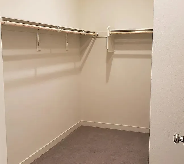 Master walk-in closet