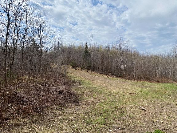 3rd image of Near Wilson Lake Road