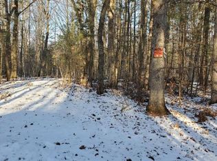 13 Acres Sand Road, Caseville, MI 48725