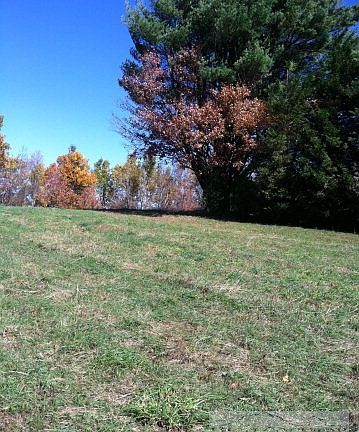 5th image of Lot 7, 8 & 8 Apple Creek Road