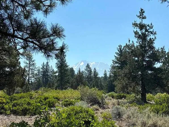 1 Rockwood Rd Lot 176, Weed, CA 96094