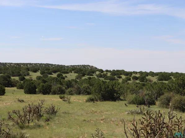 122 County Road B001, Mountainair, NM 87036