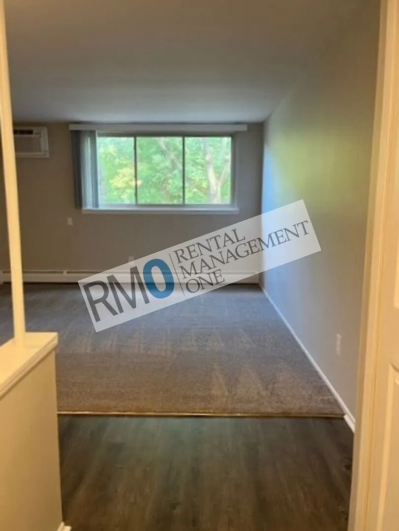 2 bedroom/1 bath Remodel Home near Downtown Rochester! — Photo 3