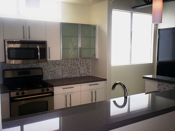 Silestone countertops, stainless steel appliances,modern cabinetry