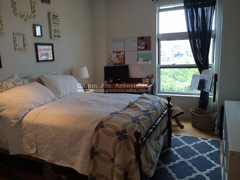 601 Albany St #308 — Photo 6