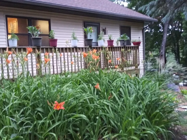 Another perennial garden next to our porch which is the length of the house