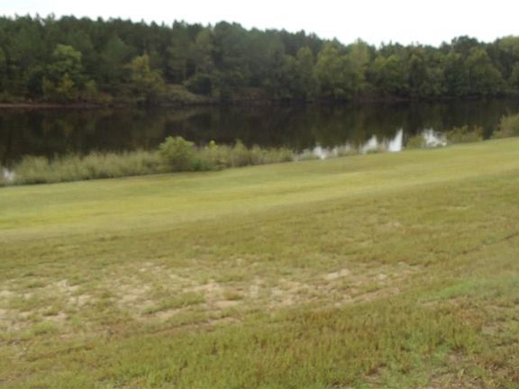 5th image of Lot 46 Ave. of the Palms #The Bluffs on the Waterway