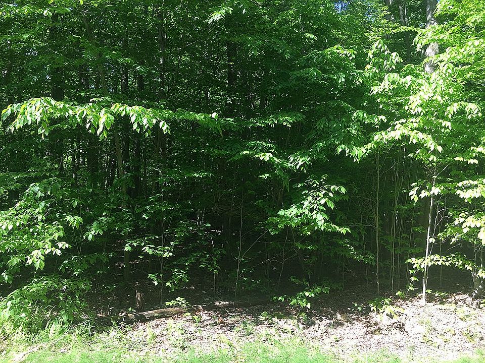 1.2 acres of great propertyi