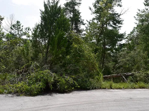 Olive Lane Ocala Florida #34472, Ocala, FL 34472