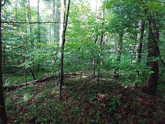2nd image of LOT 4 Havenwood Hills Dr