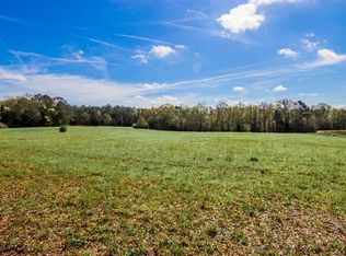 217 Chappell Mill Rd, Milner, GA 30257