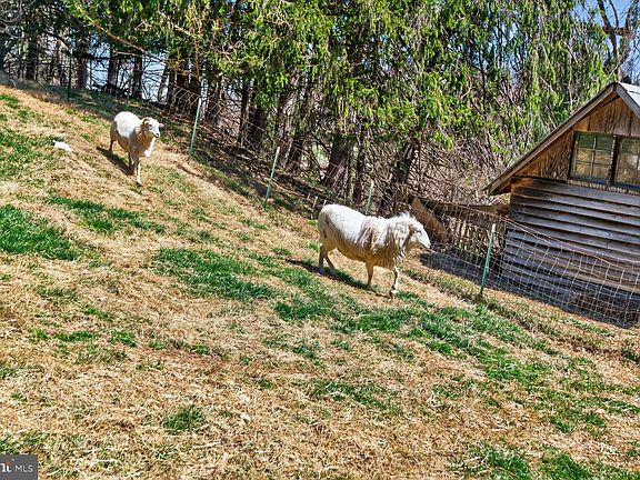 4th image of 2338 Jim Kohler Rd