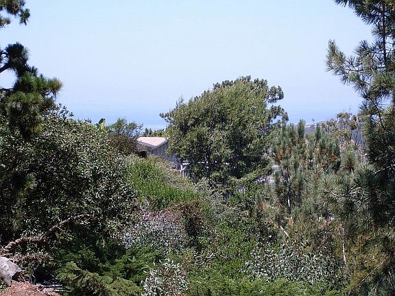 Wonderful Tree lined area with Ocean Views.