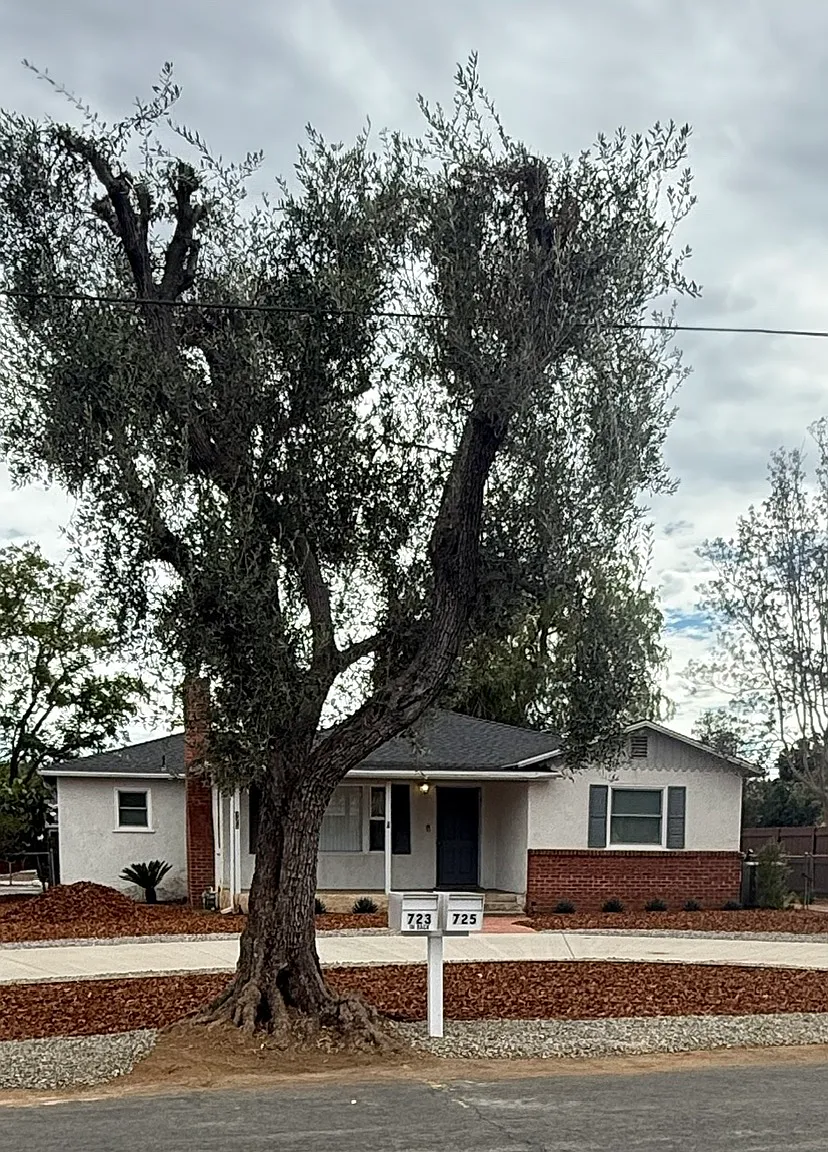 3 bed, 1433 sqft, $2,900 — Photo 2