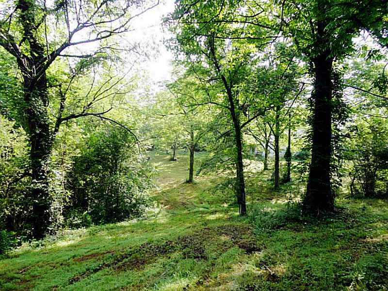 1st image of 3601 Gillsville Hwy