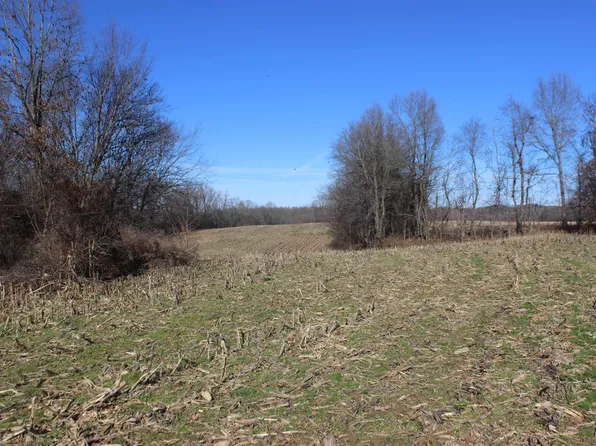0 County Road 1141, Fancy Farm, KY 42039