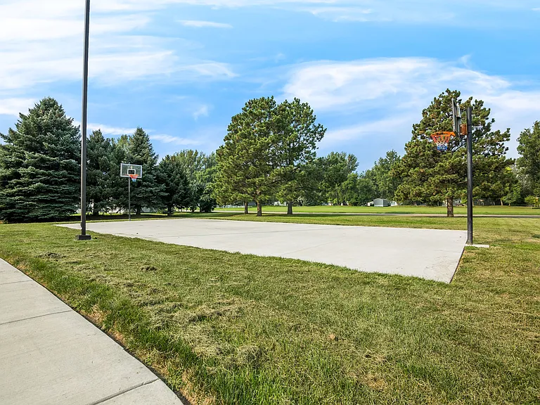 basketball