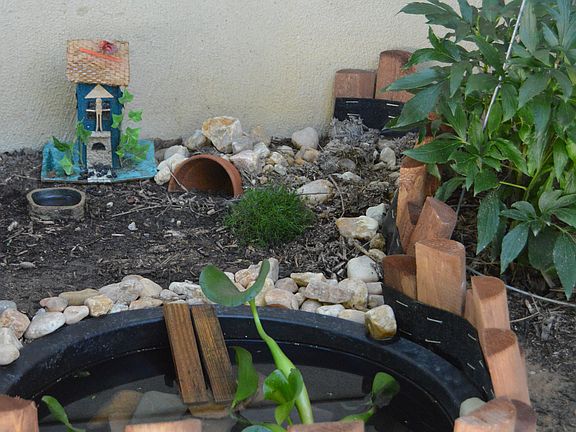 Small Pond with habitat 