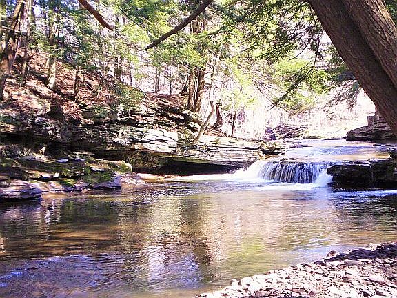 Little Loyalsock Creek 