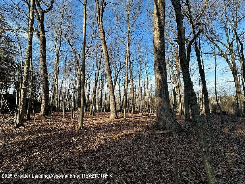 2nd image of 6445 Pine Hollow Dr