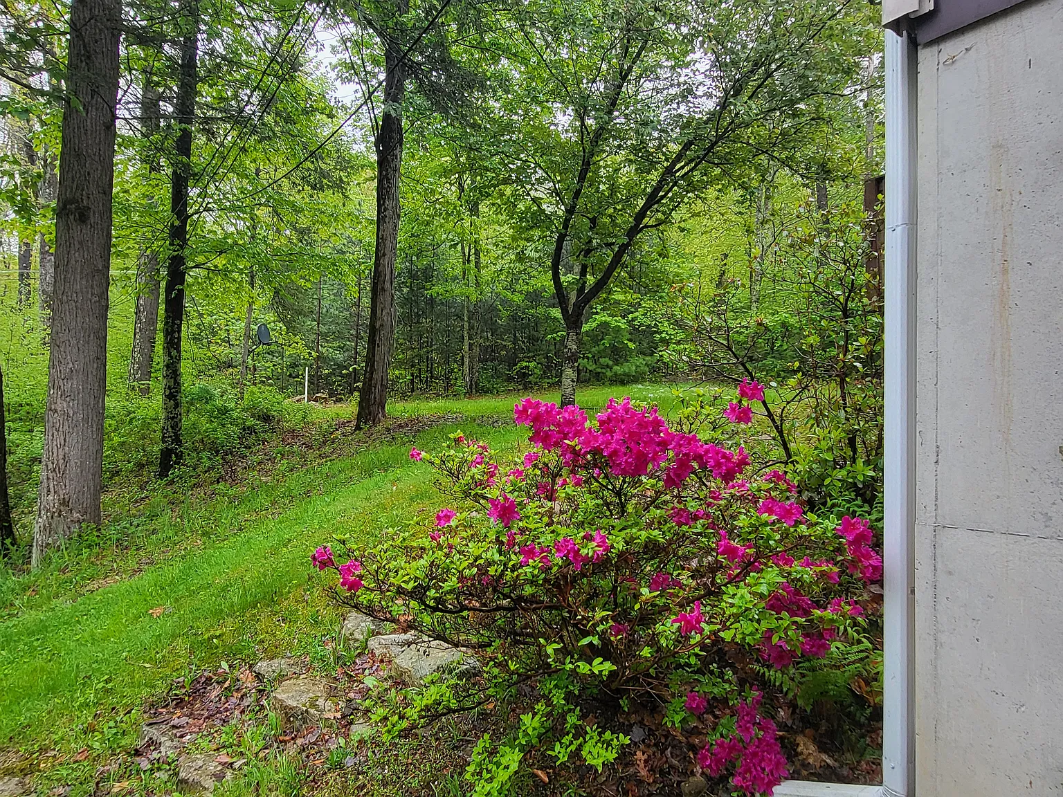 4 bed, 1285 sqft, $3,200 — Photo 4
