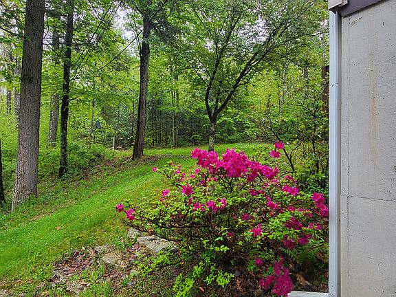 4th image of 45 Laurel Hollow Est