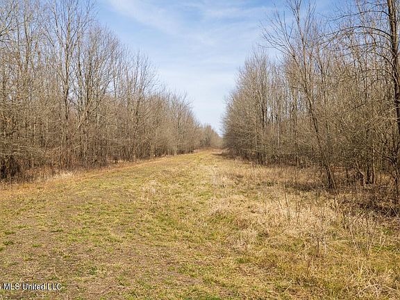 74th image of this home