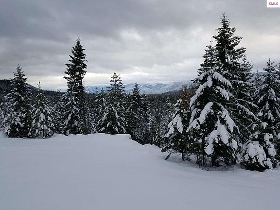 4th image of 439 Usfs #2295A