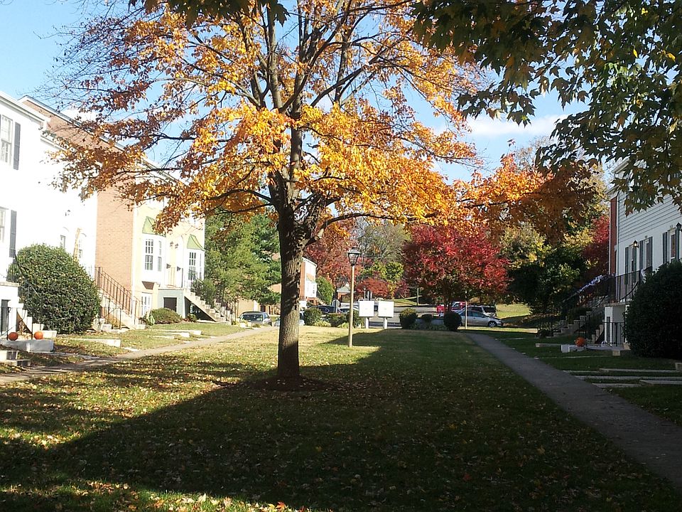 2nd image of 103A Leeds Ct E